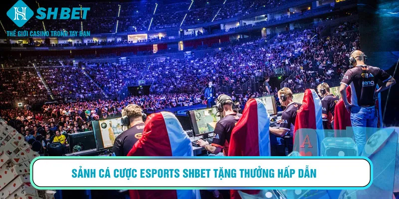 Sảnh cá cược Esports SHBET tặng thưởng hấp dẫn